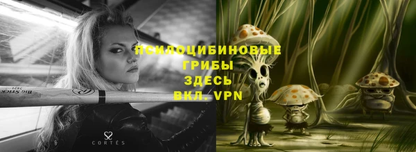 дмт Верхний Тагил