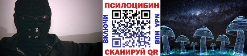 Купить закладки  Мурино  Псилоцибиновые грибы GOLDEN TEACHER 